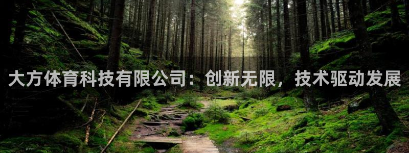 大方体育科技有限公司：创新无限，技术驱动发展