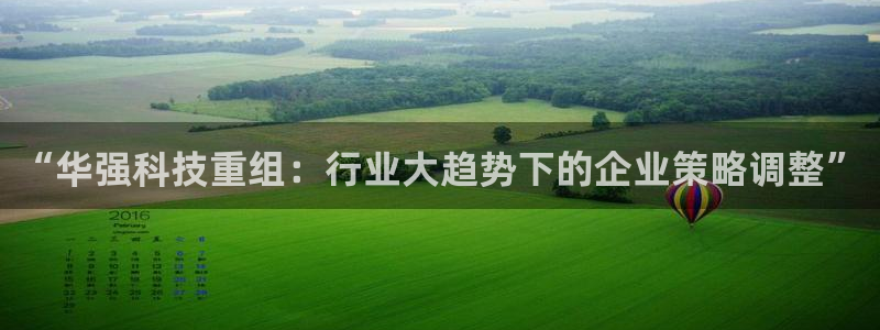 “华强科技重组：行业大趋势下的企业策略调整”