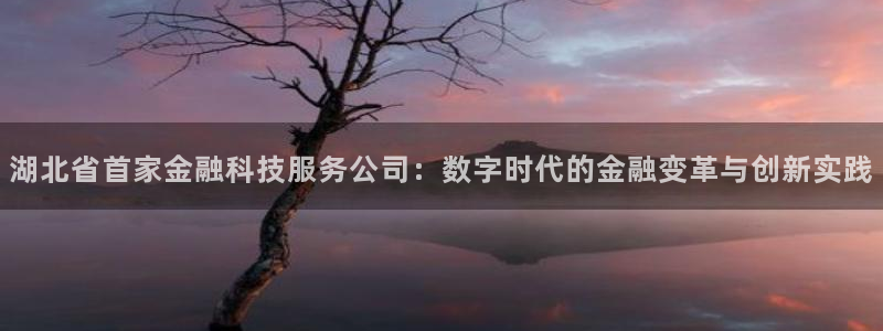 湖北省首家金融科技服务公司：数字时代的金融变革与创新实践