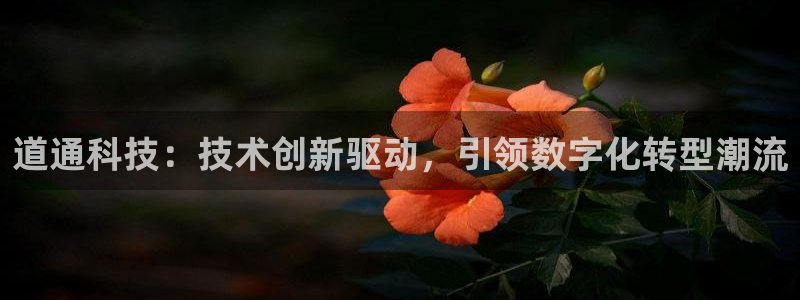 道通科技：技术创新驱动，引领数字化转型潮流