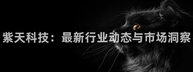 紫天科技：最新行业动态与市场洞察