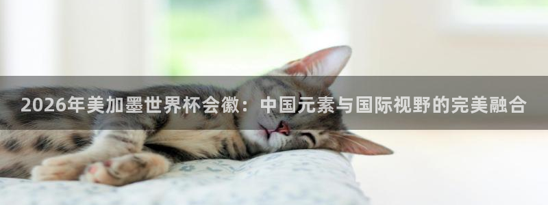 2026年美加墨世界杯会徽：中国元素与国际视野的完美融合