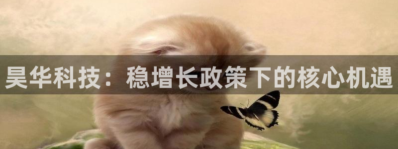 昊华科技：稳增长政策下的核心机遇