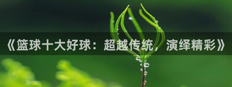 《篮球十大好球：超越传统，演绎精彩》