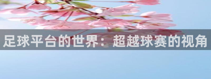 足球平台的世界：超越球赛的视角