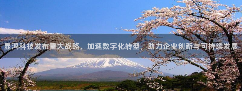 显鸿科技发布重大战略，加速数字化转型，助力企业创新与可持续发展