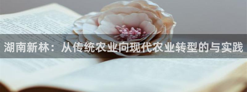 湖南新林：从传统农业向现代农业转型的与实践