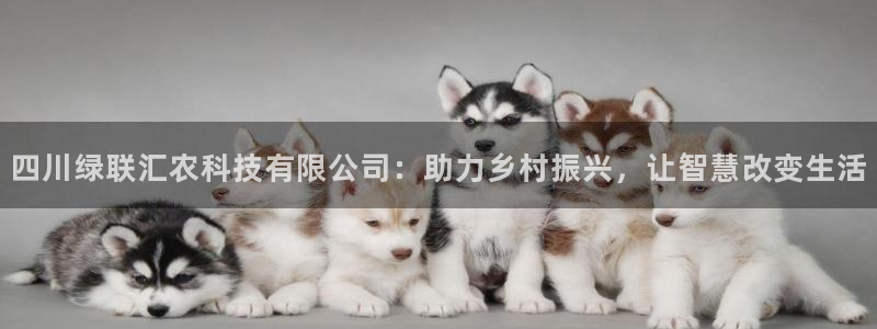 四川绿联汇农科技有限公司：助力乡村振兴，让智慧改变生活