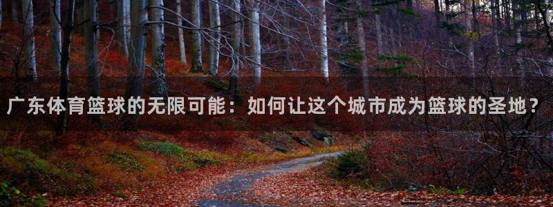 广东体育篮球的无限可能：如何让这个城市成为篮球的圣地？