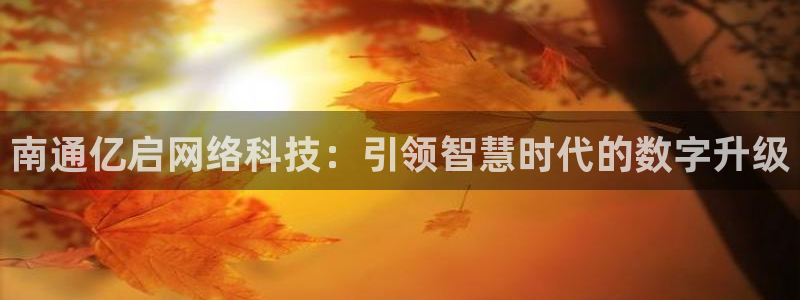 南通亿启网络科技：引领智慧时代的数字升级