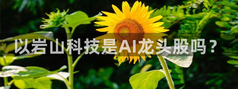 以岩山科技是AI龙头股吗？