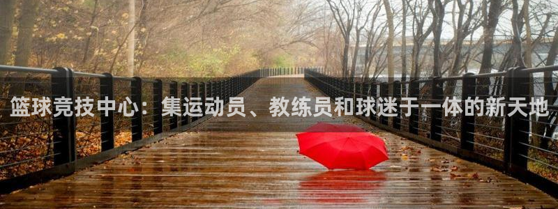 篮球竞技中心：集运动员、教练员和球迷于一体的新天地